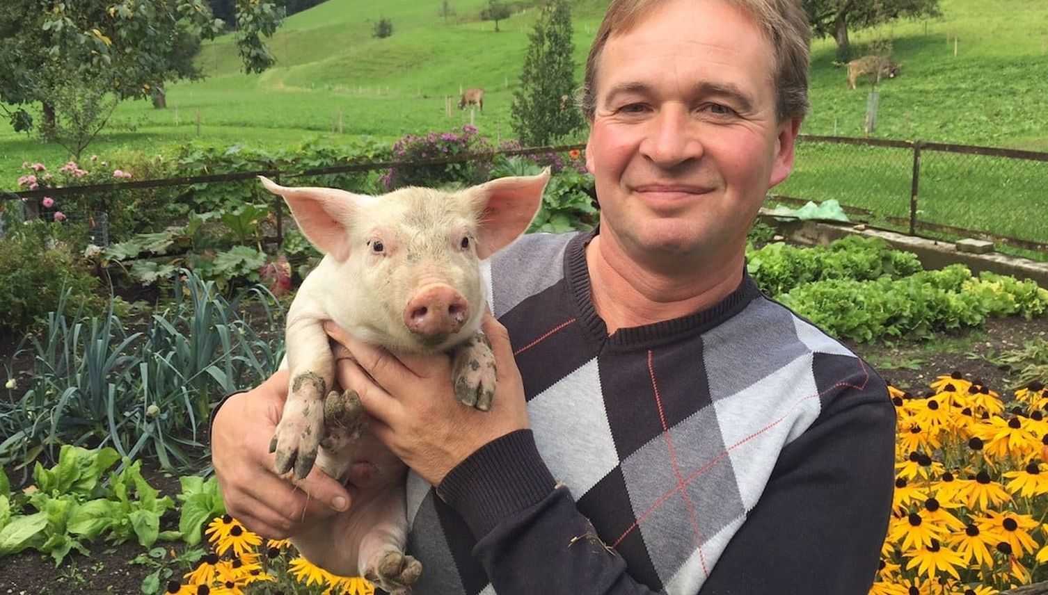 Deshalb verdient der Luzerner Schweinebauer Walter die beste Liebe
