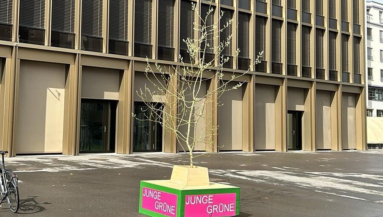 Krienser Jungpartei stellt Baum auf Stadtplatz