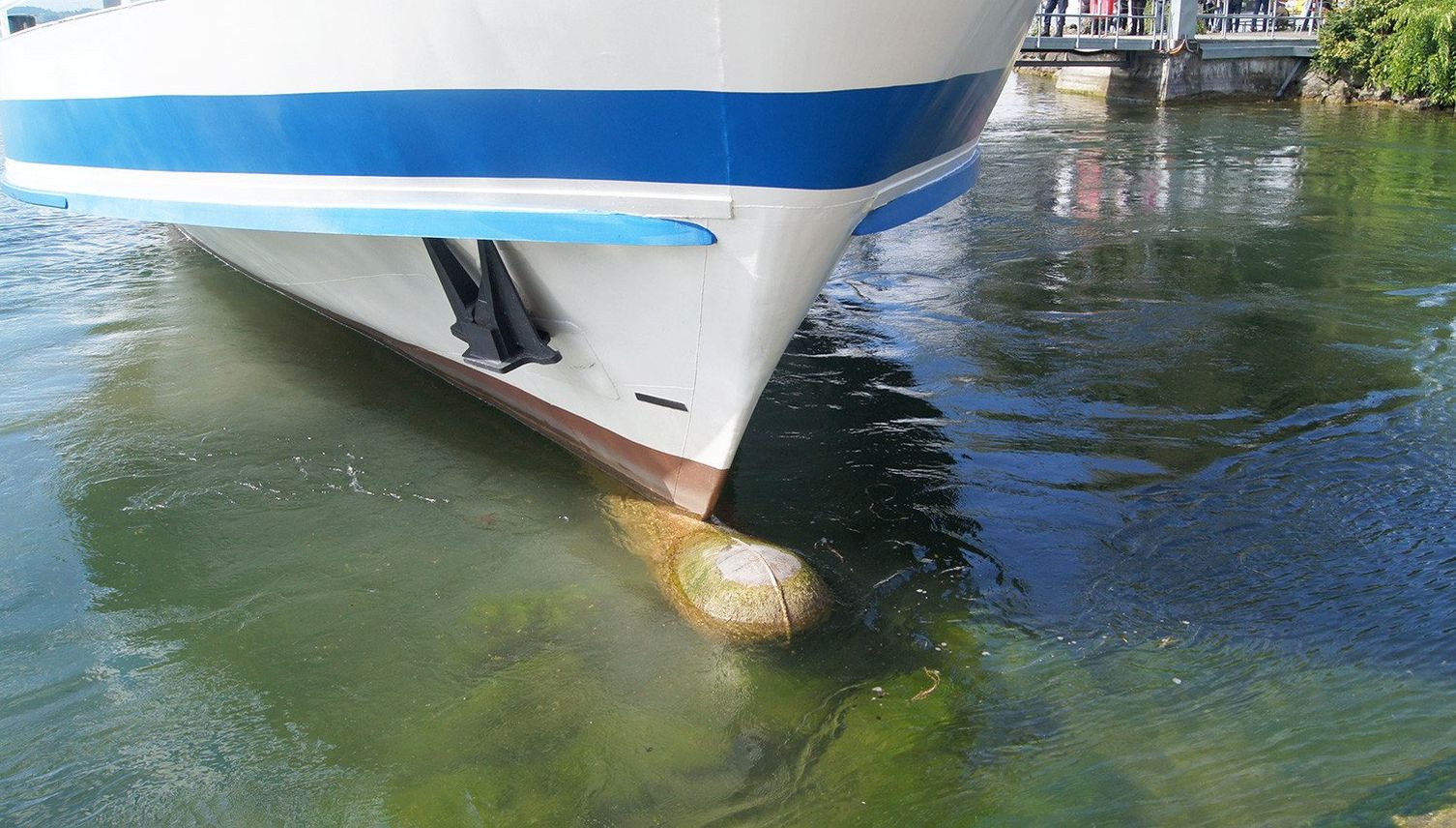 Darum verunfallte ein Motorschiff auf dem Zugersee