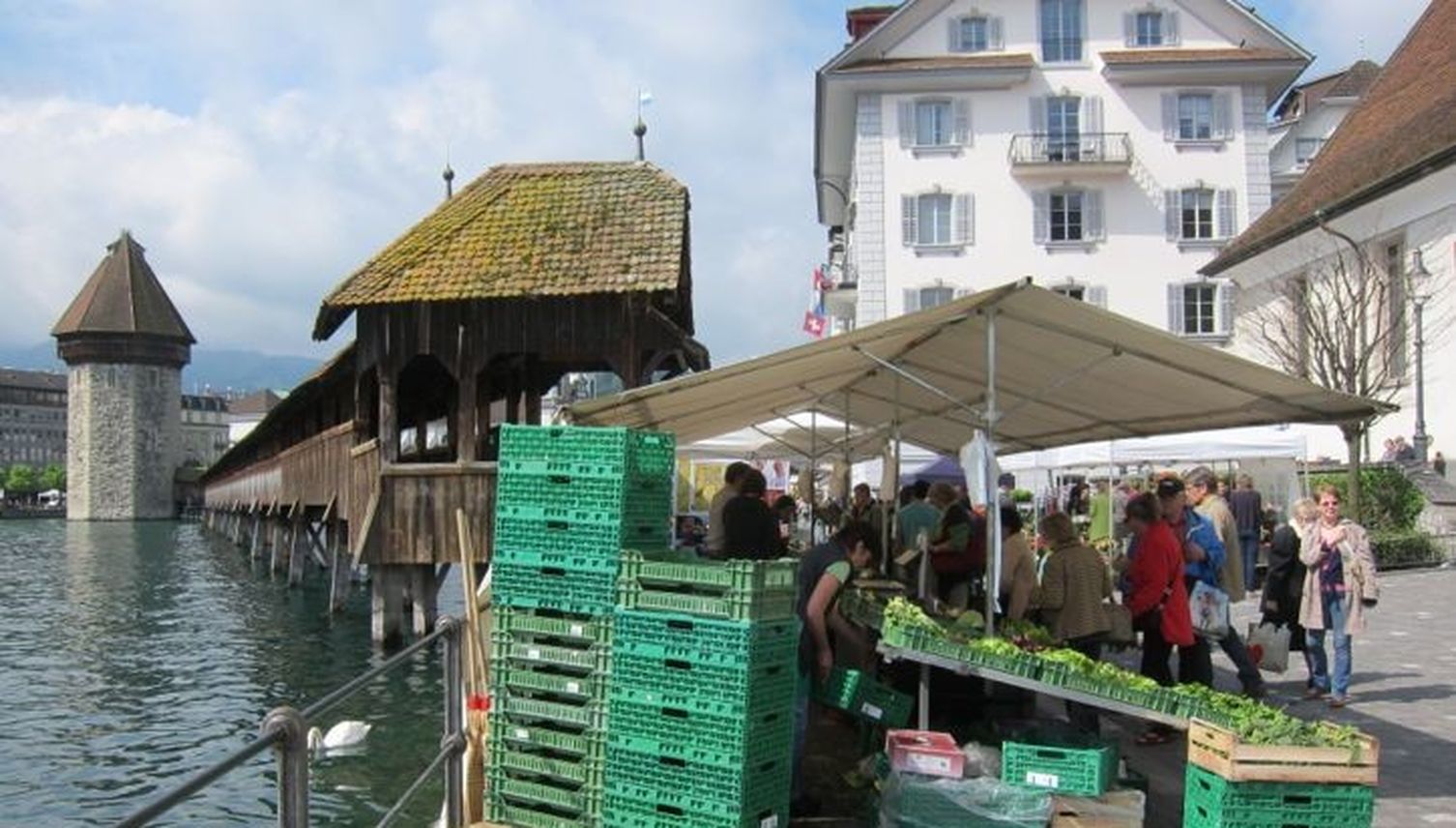 Zartes Frühlingserwachen am Luzerner Wochenmarkt