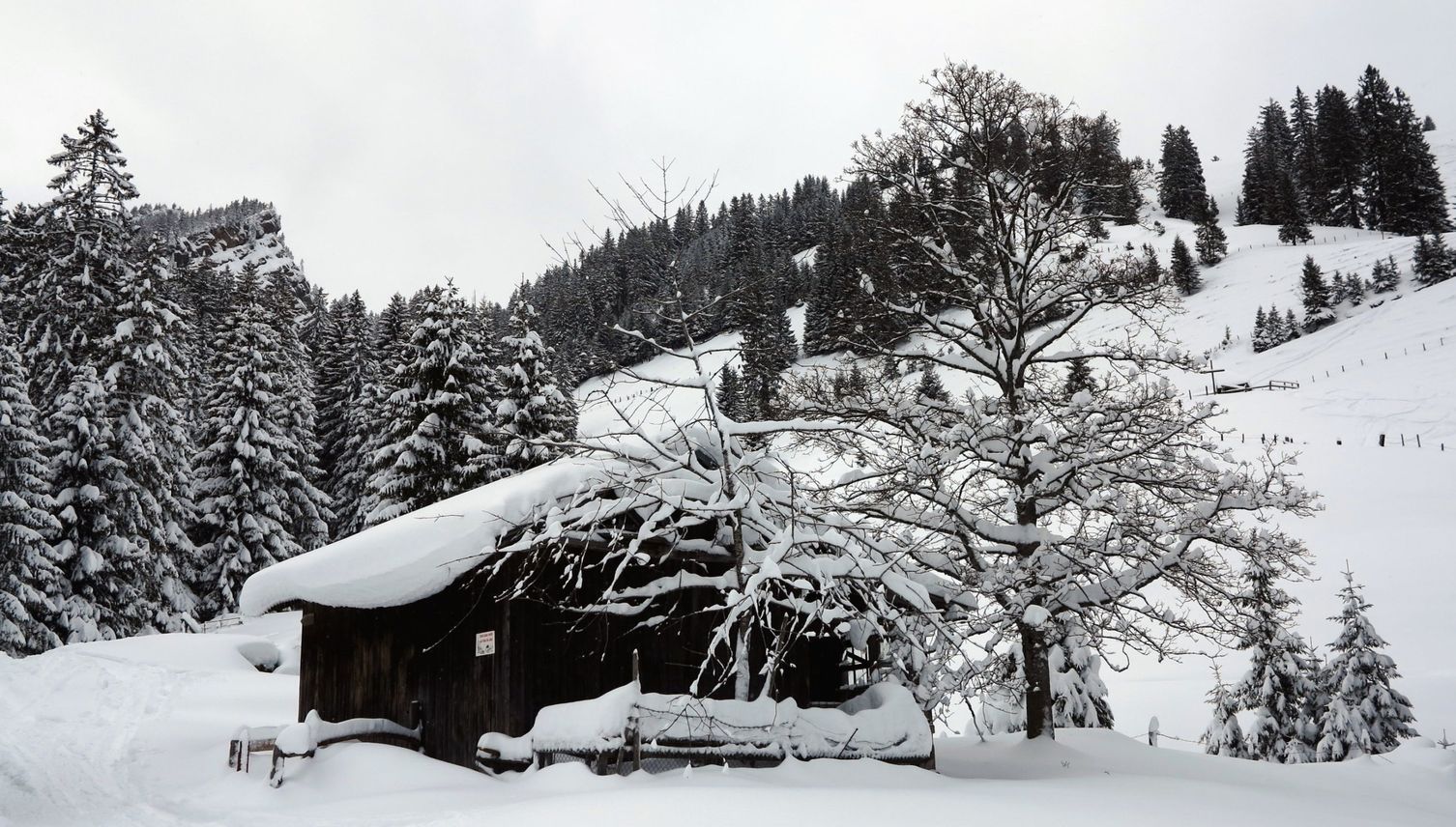 Wenn das Räge- zum «Schneeflüeli» wird