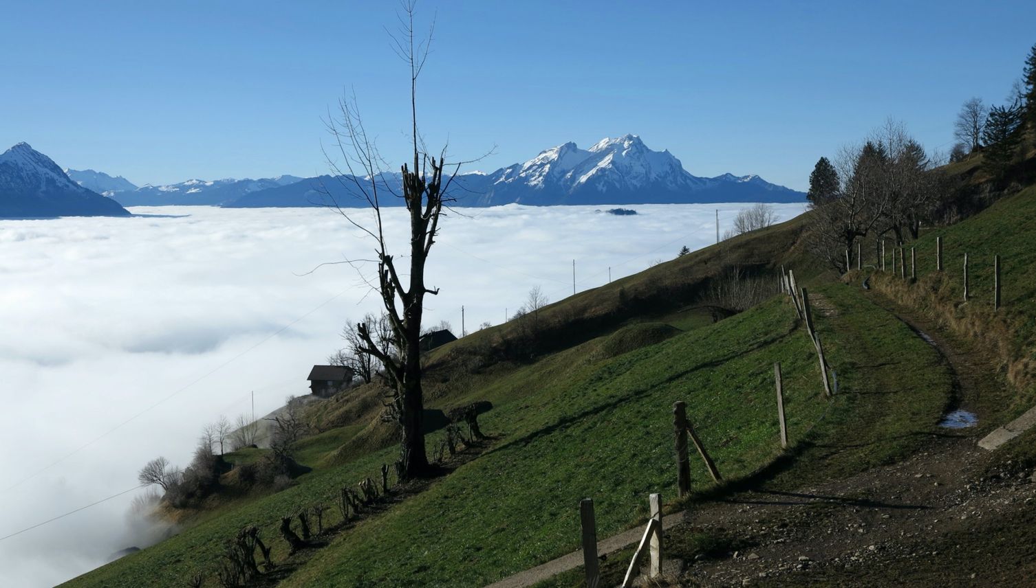 Grenzüberschreitungen am Rigi-Südhang