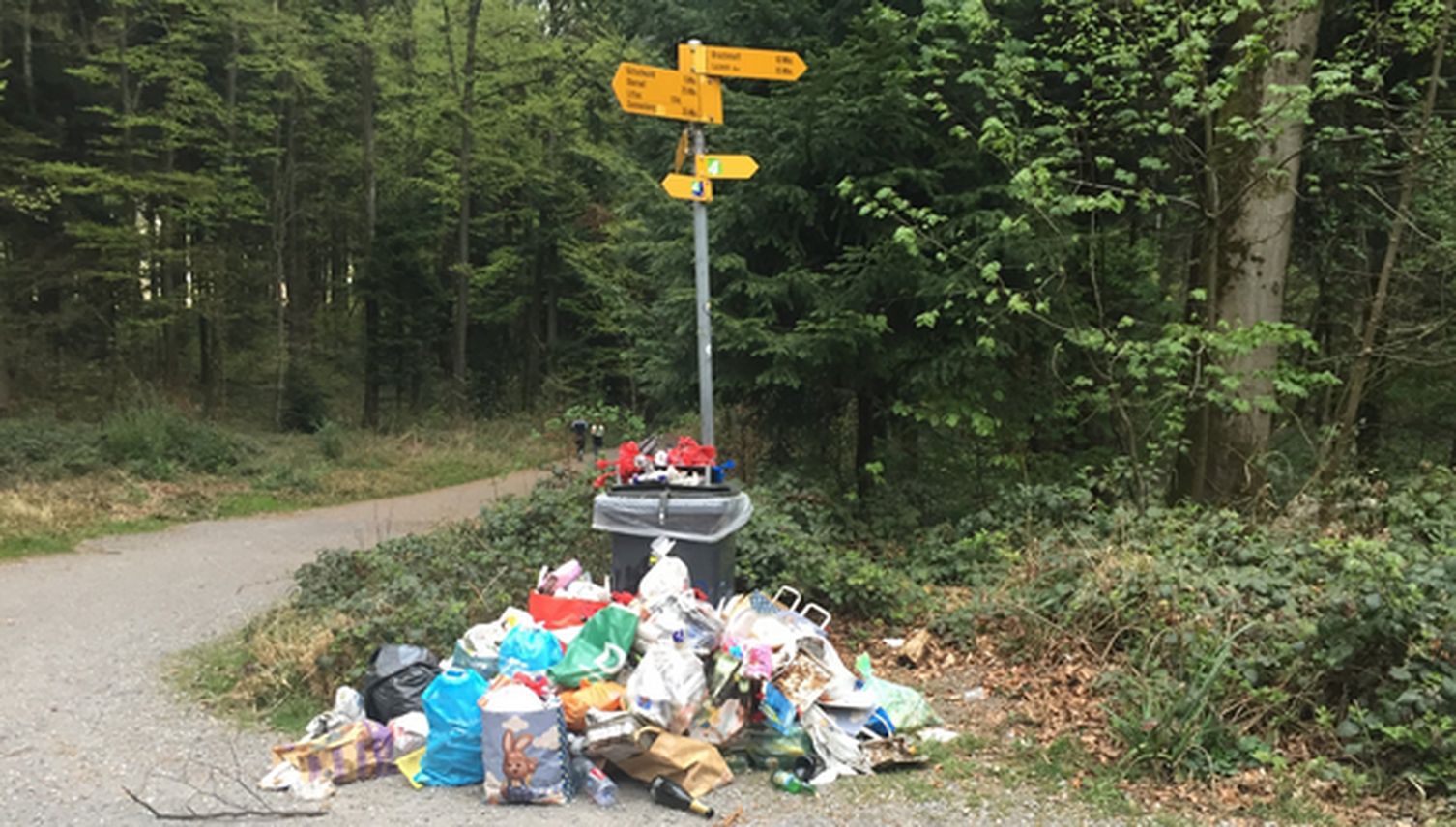 Gütschwald: Wilde Feuerstellen und Menschenkot hinter den Bäumen