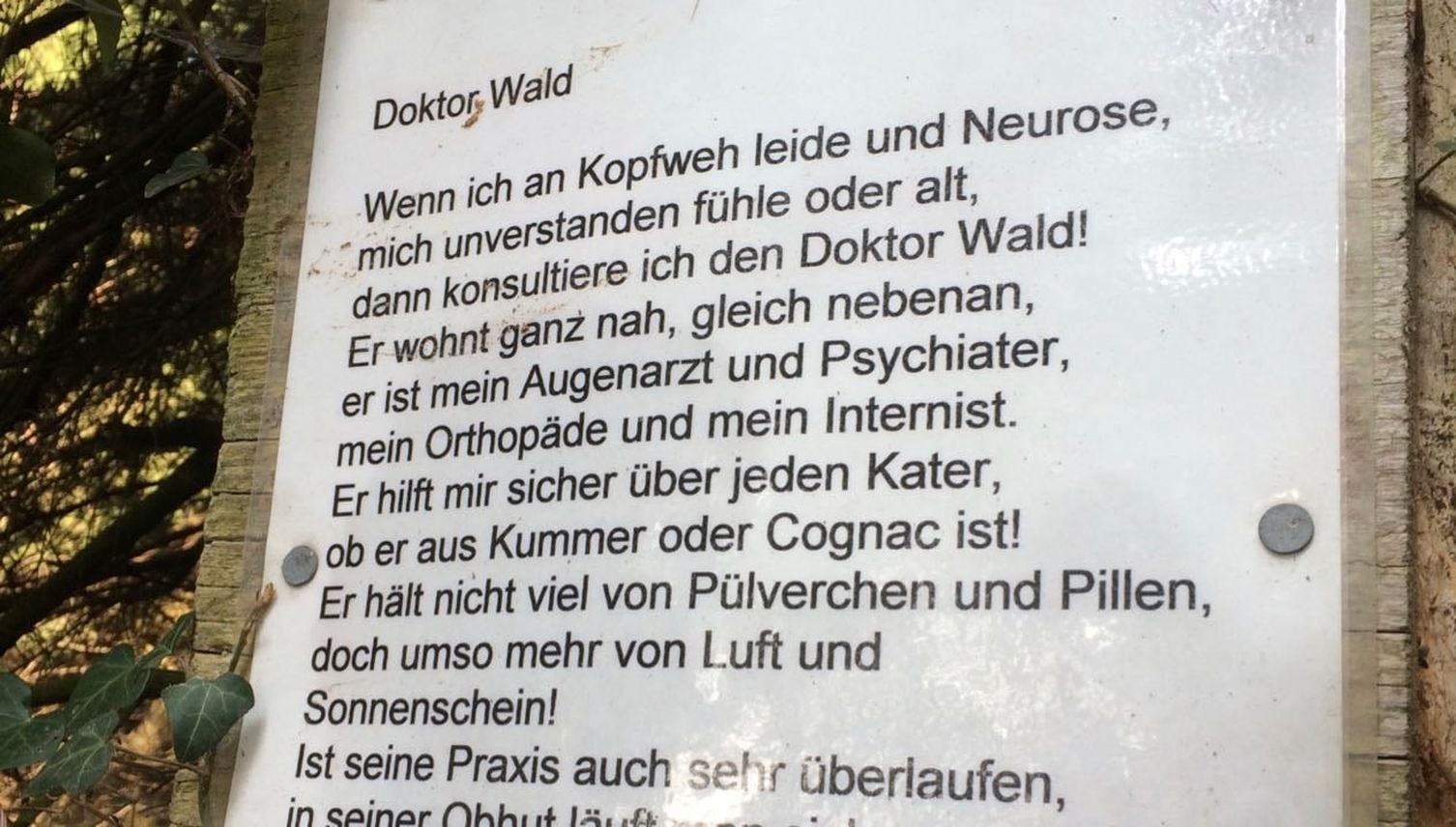 Doktor Wald