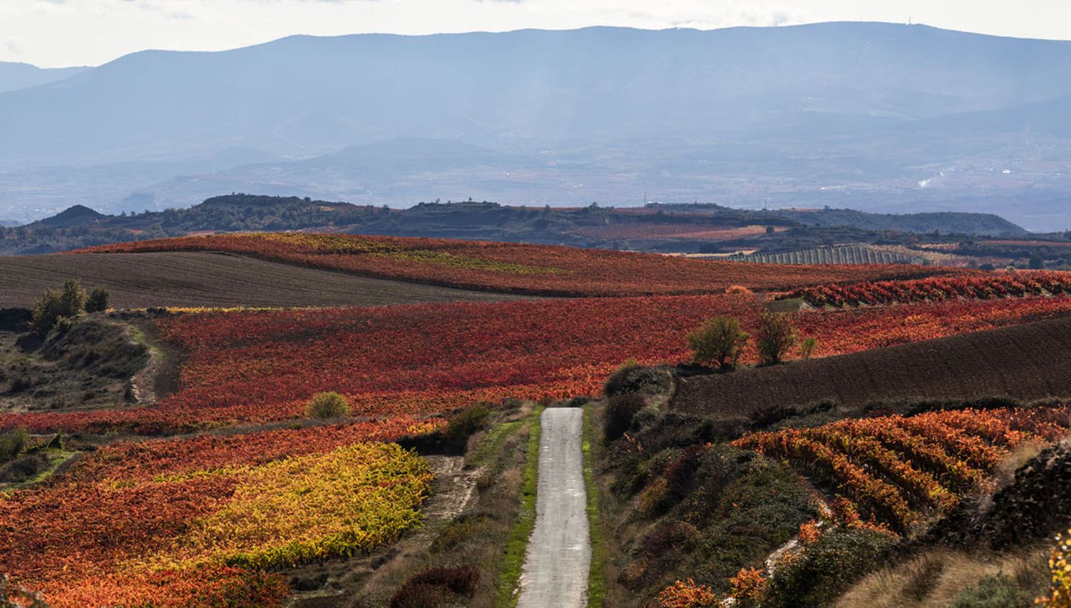 Entdecke die traditionellste Weinregion Spaniens neu