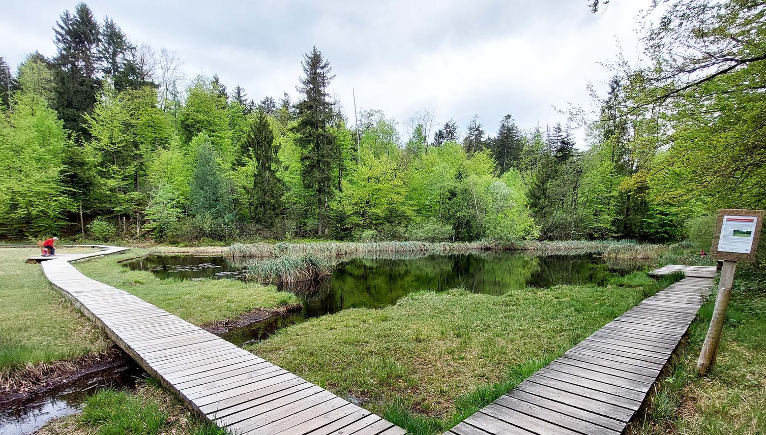 Vielfältige Drei-Seen-Wanderung in den Cherwald