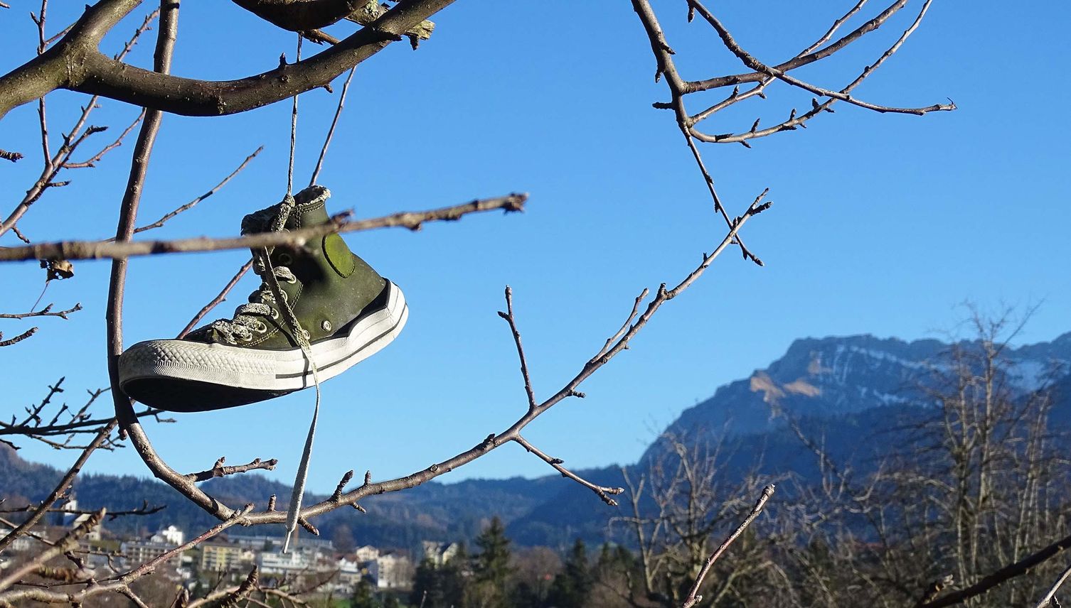Die 10 schönsten Frühlingswanderungen in Zug und Luzern