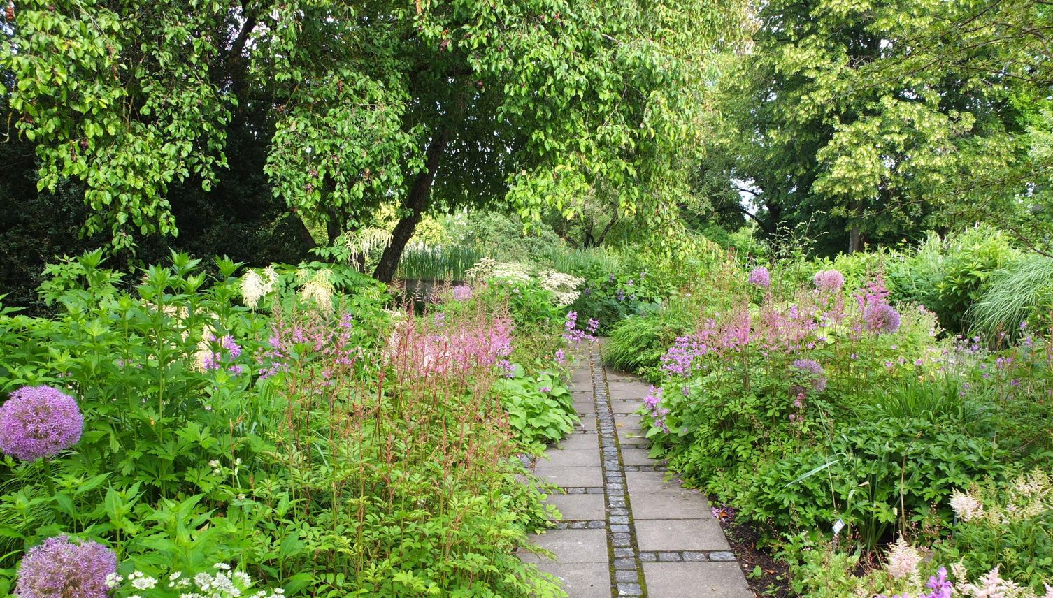 Biodiversität ist auch mit Zierpflanzen möglich