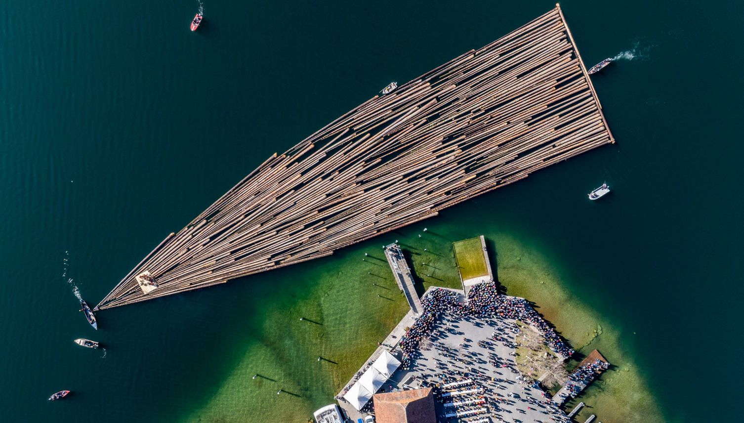 Dutzende Baumstämme schwimmen auf dem Ägerisee