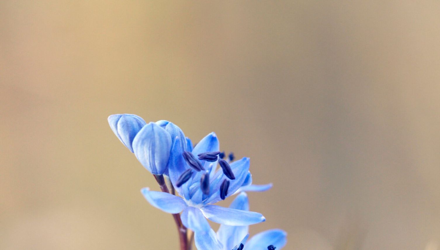 9 Bilder, um dich auf den Frühling einzustimmen