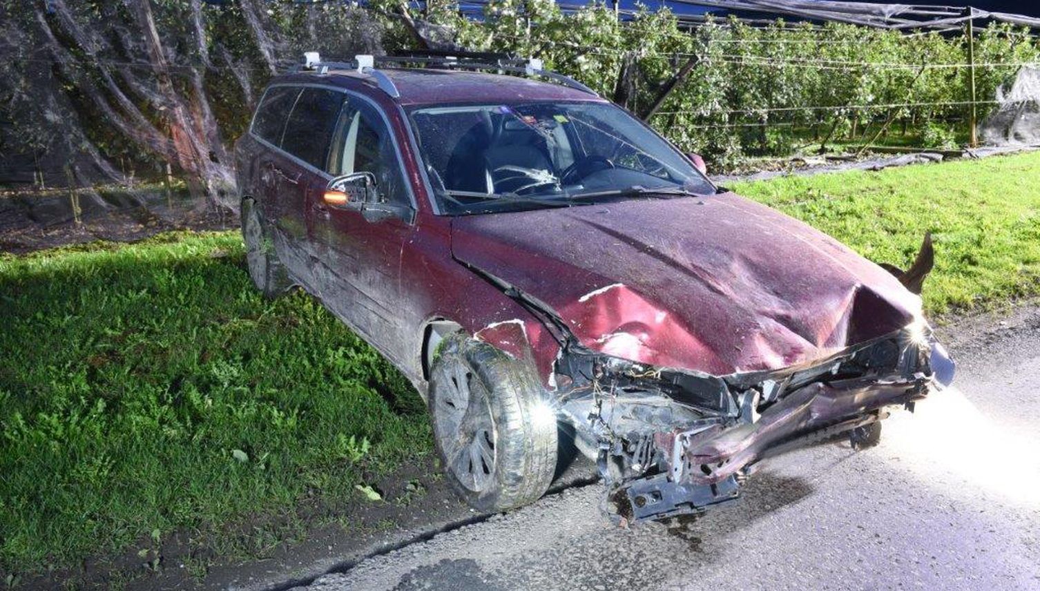 Ermensee: 51-Jähriger fährt mit Auto in Obstplantage
