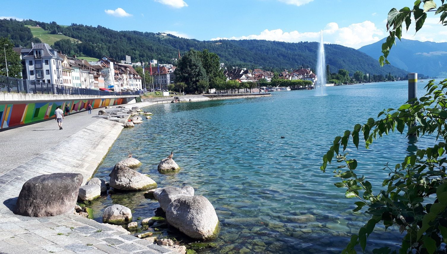 Hier könnte bald ein neuer Steg über den See führen