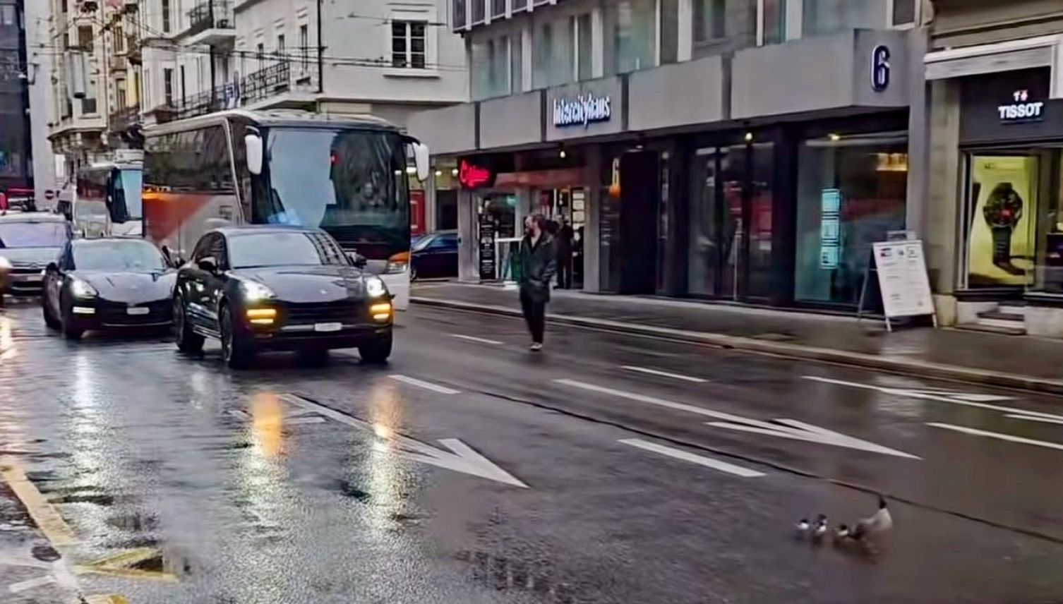 «Alli mini Äntli» watscheln vorm Porsche durch Luzern