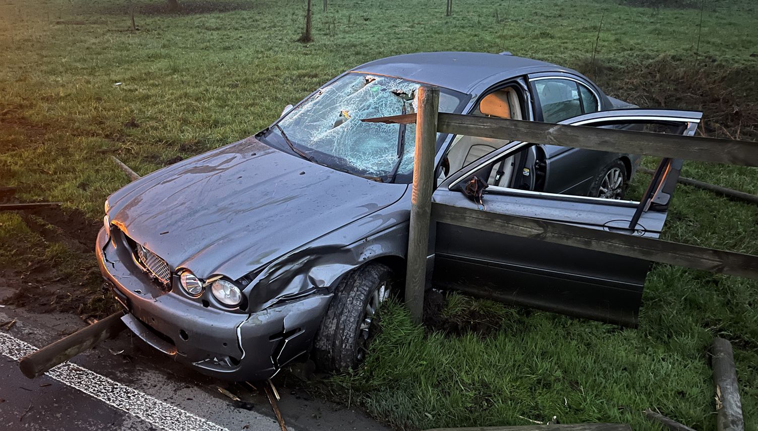 Besoffener brettert durch Zaun und landet auf Wiese