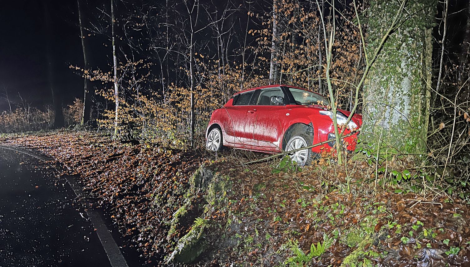 Mit über zwei Promille in Baum gebrettert