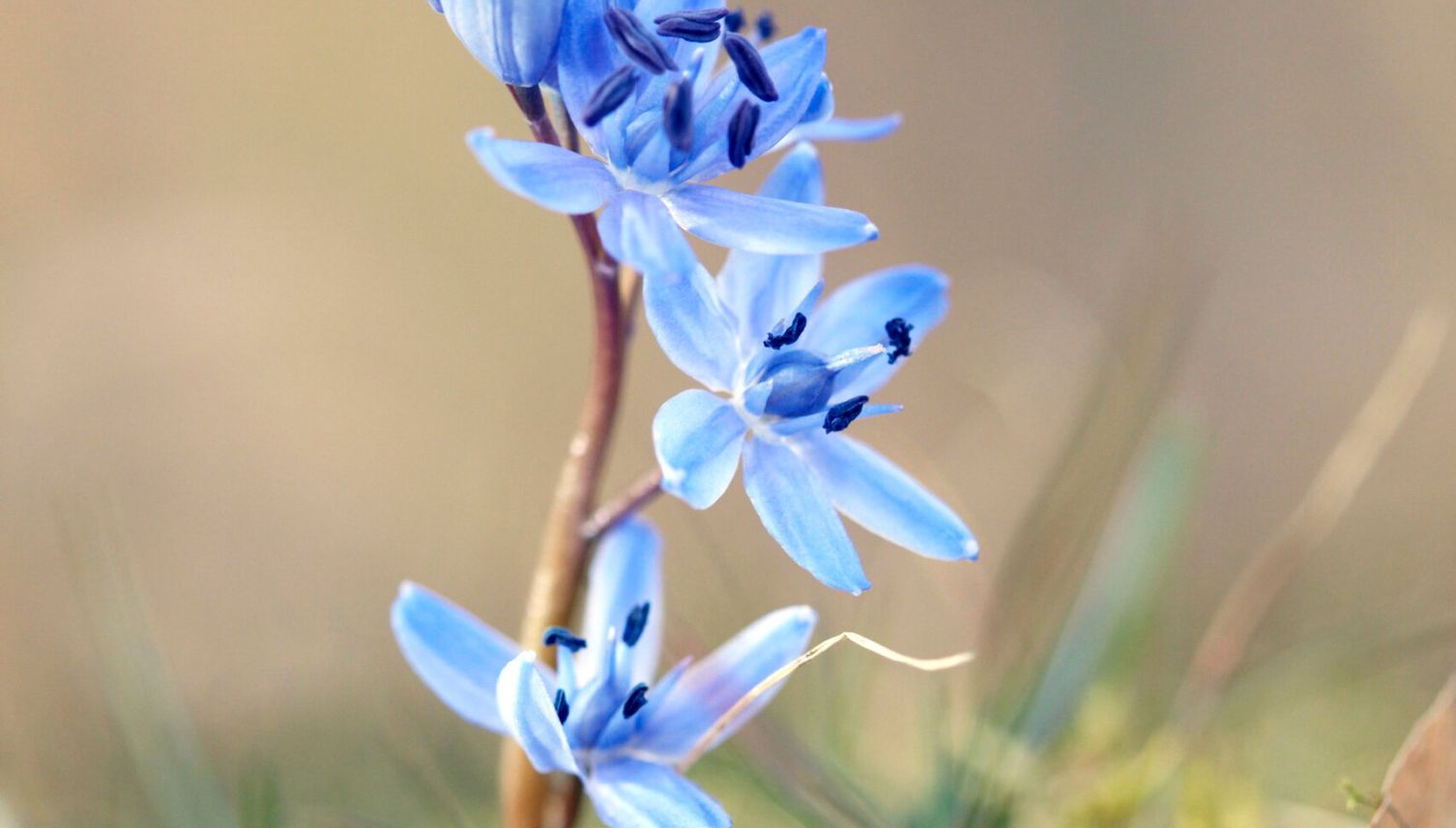 9 Bilder, um dich auf den Frühling einzustimmen