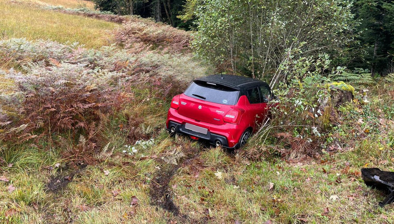 Betrunkener brettert über Wiese in Unterägeri