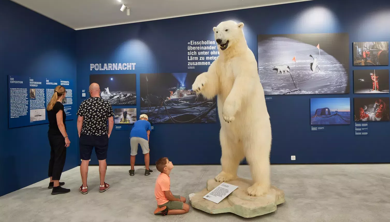 Brrrrr! Gletschergarten eröffnet Arktis-Ausstellung 