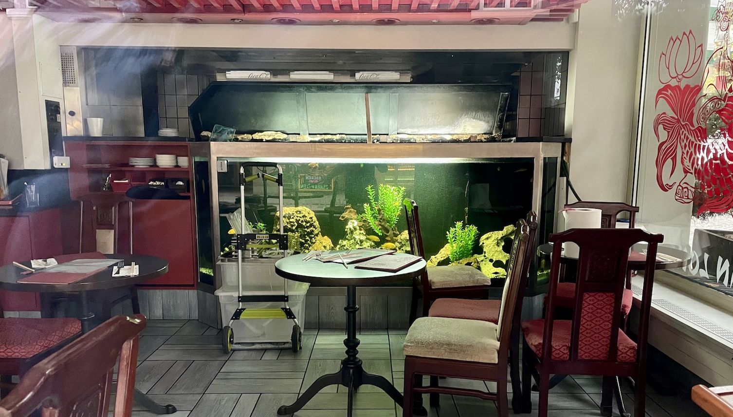 Restaurant versiegelt – Wer sorgt sich um die Fische?