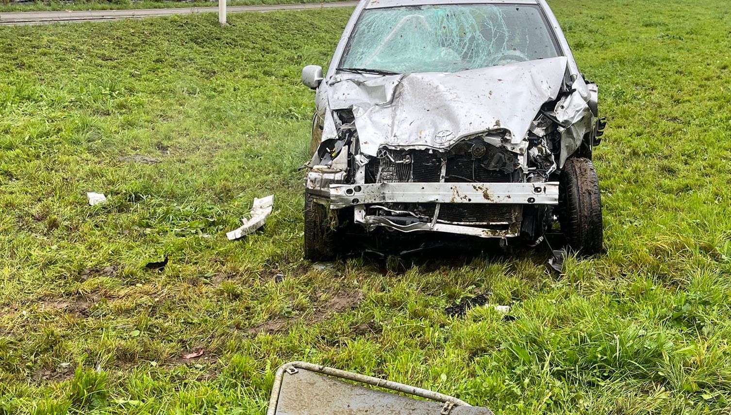 Auto fährt in Kuhherde – zwei Tiere tot