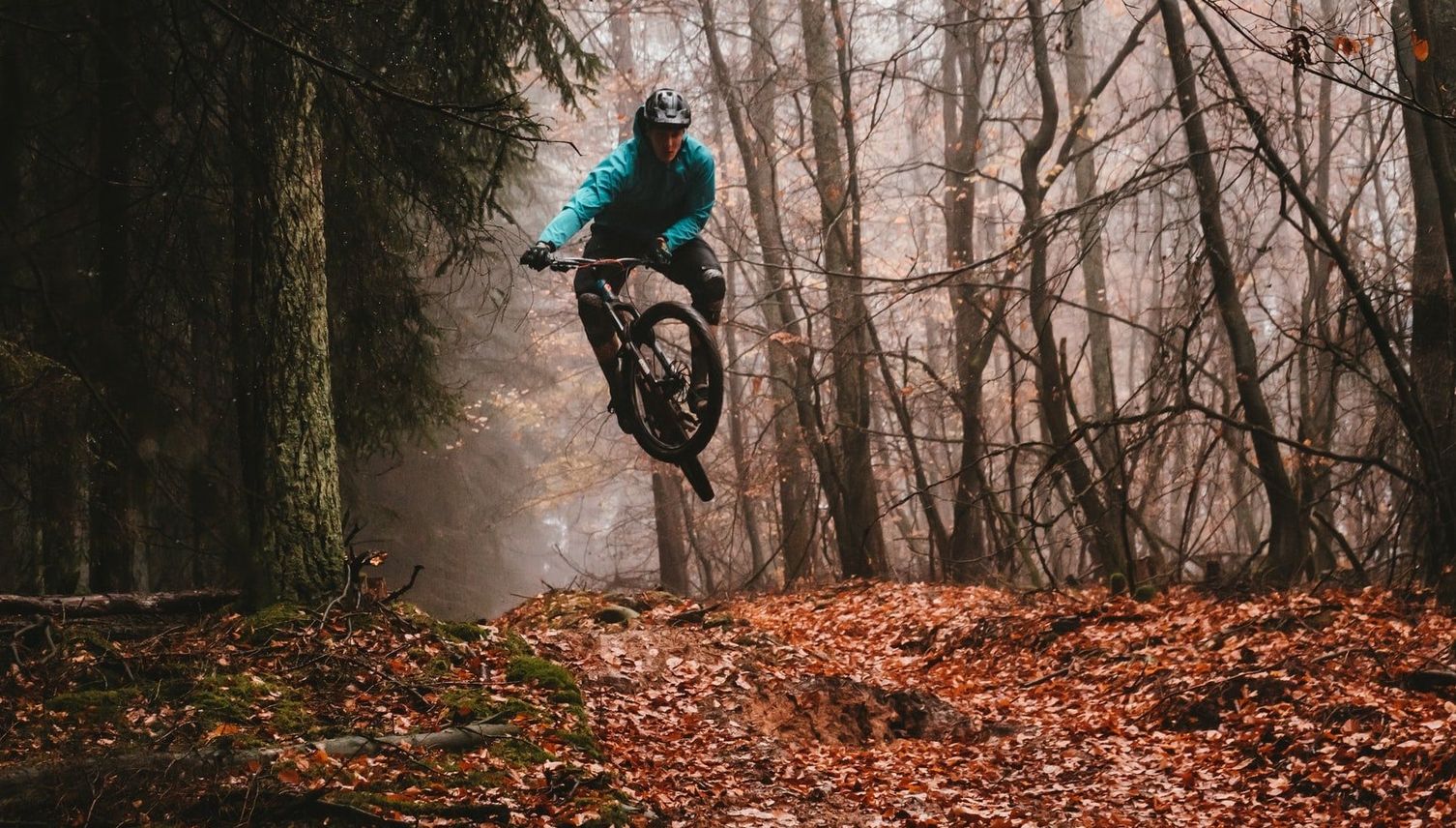 Luzerner Wald: Das Mountainbike ist der Zankapfel