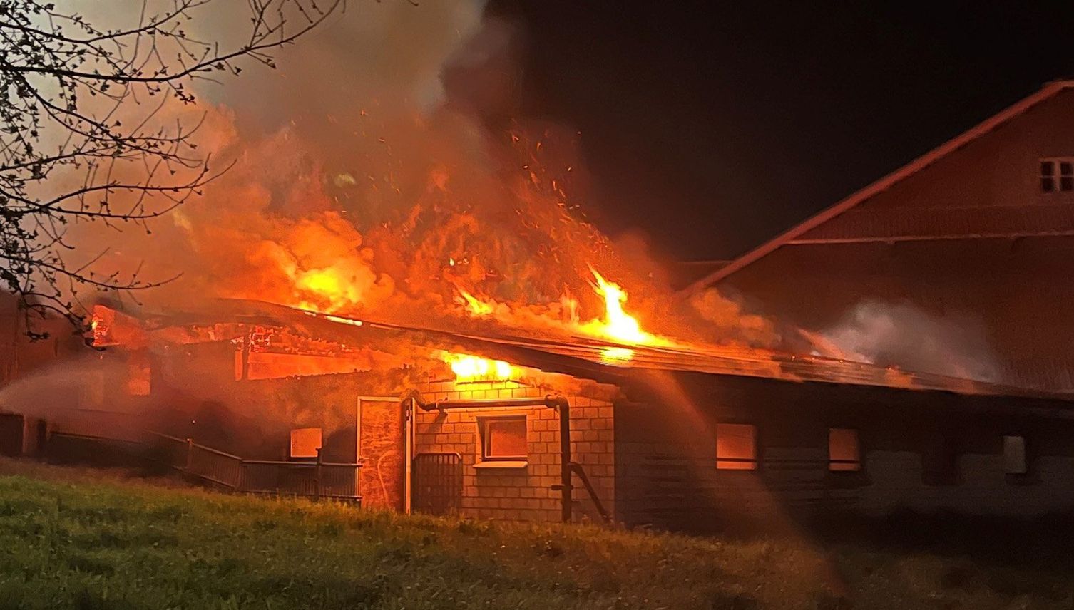 Scheune brennt – dutzende Tiere sterben in Flammen