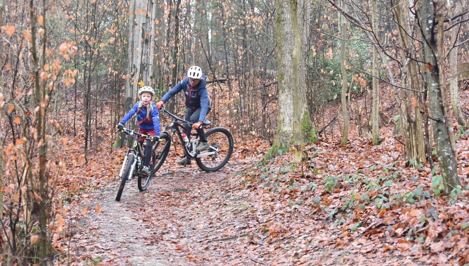 Biken im Bireggwald – warum eine Luzernerin trotz Verbot fährt