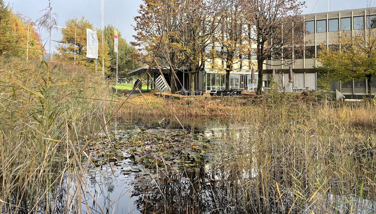 Hier müssen Frosch und Kröte demnächst zügeln