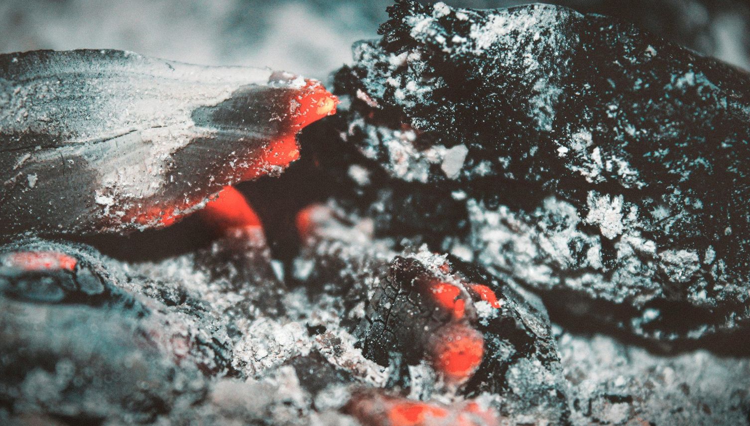 Luzernerin entsorgt Asche in Container – der fängt Feuer