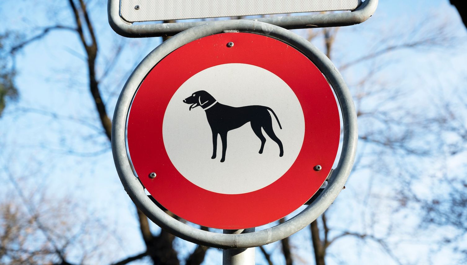 Baar plant Hundeverbot auf beliebtem Spazierweg