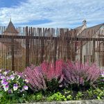 Wenns wuchert: Stadt Zug verschenkt Gartenberatungen