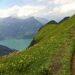 Gratwanderung vom Klingenstock zum Fronalpstock