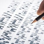 Was ist vom Massen-DNA-Test zu halten?