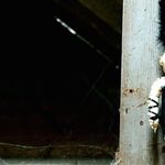 Voodoo-Prozess: Zugerin muss weiterhin in Therapie