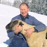 Luzerner Schafbauer sucht eine fitte Frau
