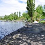 Bäume statt Beton: So will Luzern der Hitze beikommen