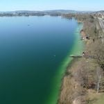 Sempachersee: Neue Wege – und eine klitzekleine Spur Mut