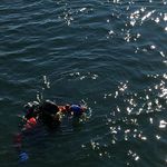 Einsatzkräfte suchen vermisste Person im Zugersee