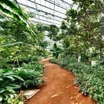 Tropenhaus Wolhusen: Garten wird zum Robinsonspielplatz