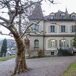 Luzerner Stadtparlament versenkt Villa Musegg