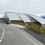 Tropenhaus kämpft gegen Konkursentscheid an
