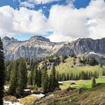 Wandern im Zentralschweizer Urwald