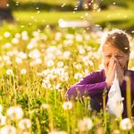 Pollenallergie? An diesen Zentralschweizer Ausflugszielen  kannst du aufatmen