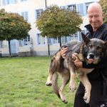 Zu Besuch bei Polizeihund Mitch – von niedlich zu beissfreudig in zehn Sekunden
