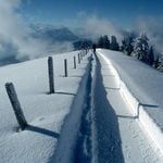 13 Winterwanderwege in der Zentralschweiz