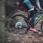 Die Bike-Trails im Bireggwald kommen 2023