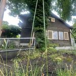 So viel hat das «Experiment Eichwäldli» Luzern gekostet