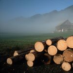 Wieso in Luzern das Holz zum Heizen knapp ist