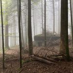 Die gfürchigsten, wertvollsten und hübschesten Wälder des Kantons Zug