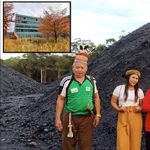 Regenwald von Borneo: Zuger helfen bei Vernichtung mit